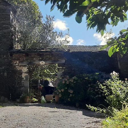 Le Petit Nid Bed & Breakfast Sablieres Eksteriør bilde