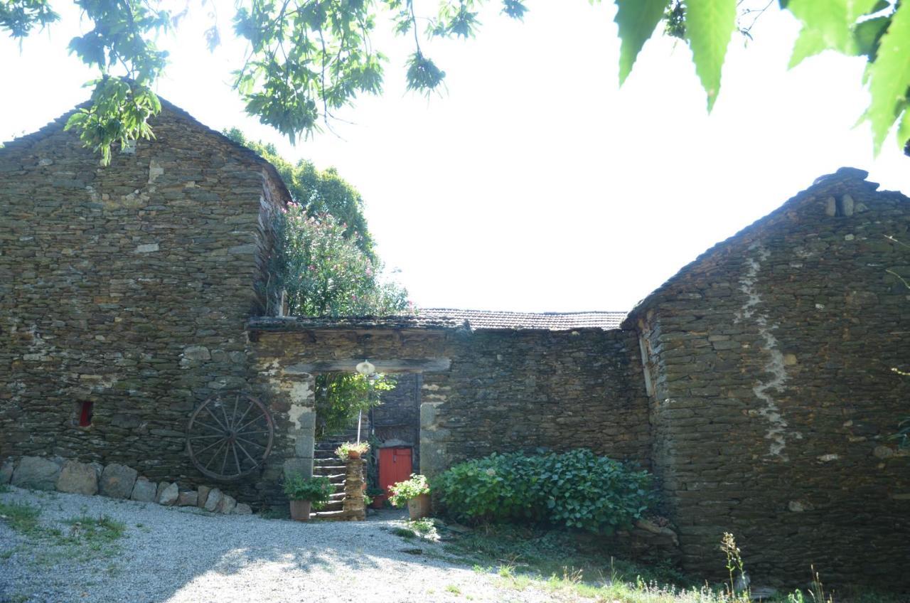 Le Petit Nid Bed & Breakfast Sablieres Eksteriør bilde